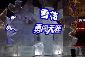 哈尔滨冰灯游园会